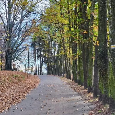 Przy Parku Jelenia Góra