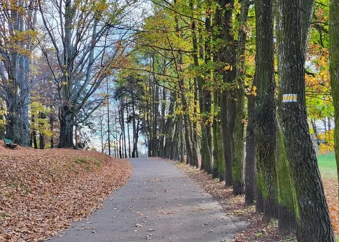 Przy Parku Jelenia Góra