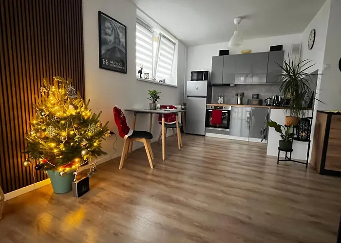 Przy Parku Appartement *